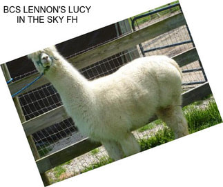 BCS LENNON\'S LUCY IN THE SKY FH