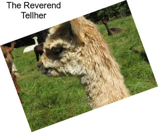 The Reverend Tellher