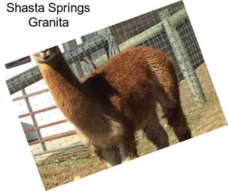 Shasta Springs Granita