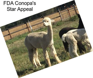 FDA Conopa\'s Star Appeal