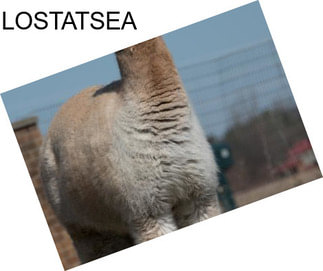 LOSTATSEA