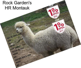 Rock Garden\'s HR Montauk