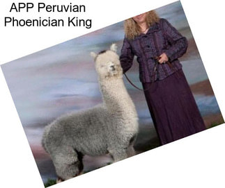 APP Peruvian Phoenician King