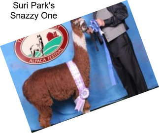 Suri Park\'s Snazzy One