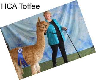 HCA Toffee