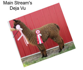 Main Stream\'s Deja Vu