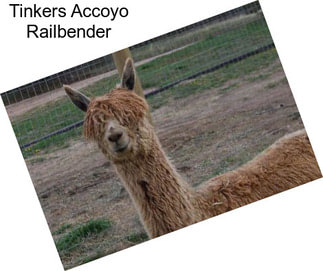 Tinkers Accoyo Railbender