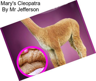 Mary\'s Cleopatra By Mr Jefferson