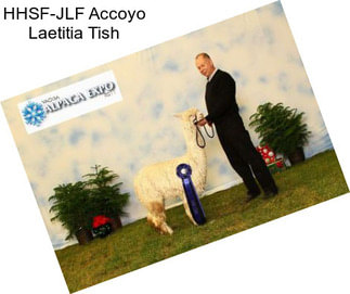 HHSF-JLF Accoyo Laetitia \