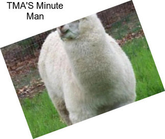 TMA\'S Minute Man