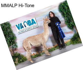 MMALP Hi-Tone