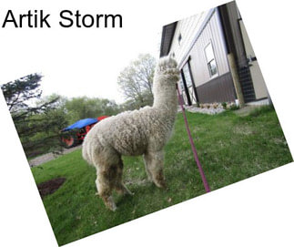 Artik Storm