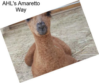 AHL\'s Amaretto Way