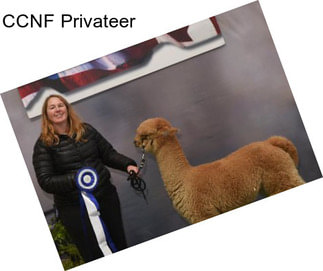 CCNF Privateer