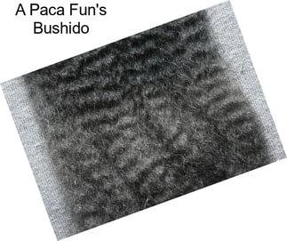 A Paca Fun\'s Bushido