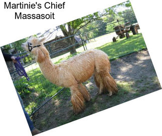 Martinie\'s Chief Massasoit