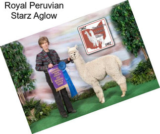 Royal Peruvian Starz Aglow