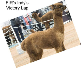 FIR\'s Indy\'s Victory Lap