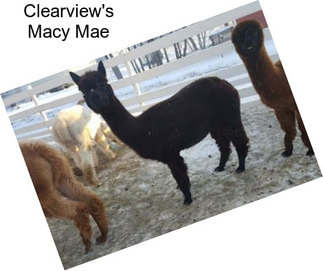 Clearview\'s Macy Mae