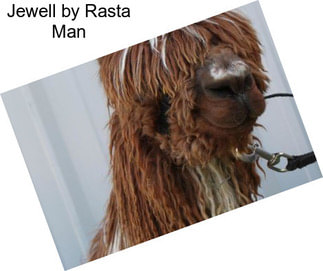 Jewell by Rasta Man