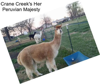 Crane Creek\'s Her Peruvian Majesty