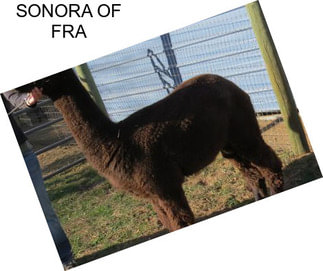 SONORA OF FRA