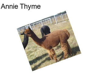 Annie Thyme