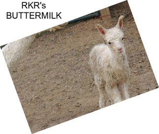 RKR\'s BUTTERMILK