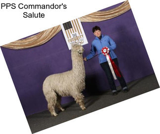 PPS Commandor\'s Salute