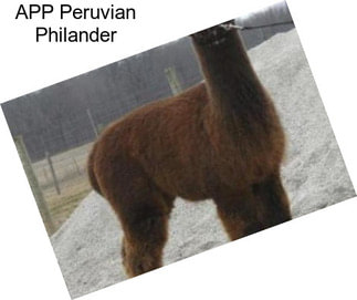 APP Peruvian Philander