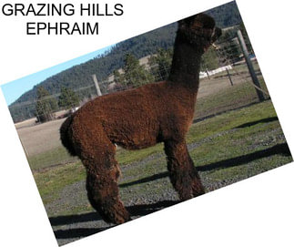 GRAZING HILLS EPHRAIM