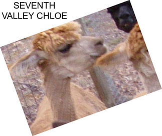 SEVENTH VALLEY CHLOE