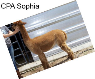 CPA Sophia