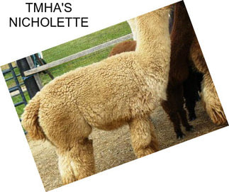 TMHA\'S NICHOLETTE