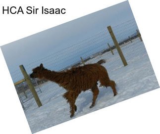 HCA Sir Isaac