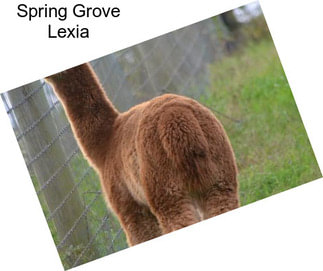 Spring Grove Lexia