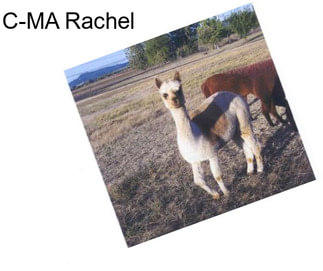 C-MA Rachel