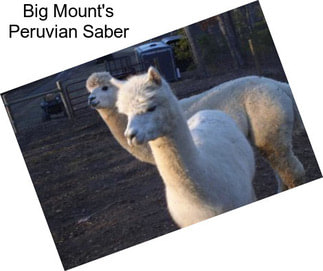 Big Mount\'s Peruvian Saber