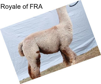 Royale of FRA