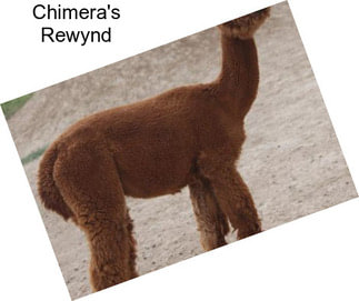 Chimera\'s Rewynd