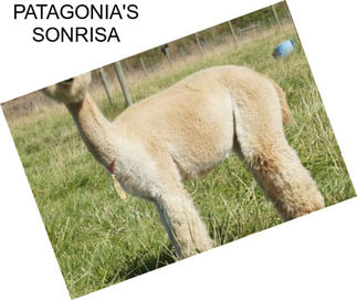 PATAGONIA\'S SONRISA