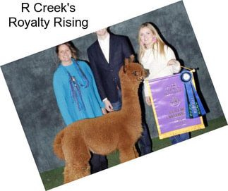 R Creek\'s Royalty Rising