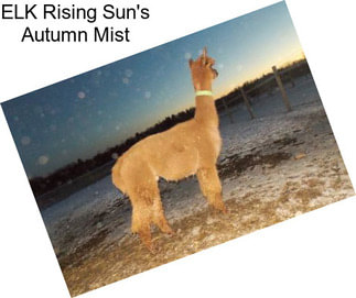 ELK Rising Sun\'s Autumn Mist