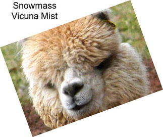 Snowmass Vicuna Mist