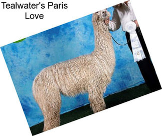 Tealwater\'s Paris Love