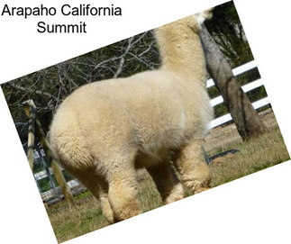 Arapaho California Summit