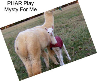 PHAR Play Mysty For Me