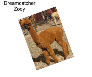 Dreamcatcher Zoey