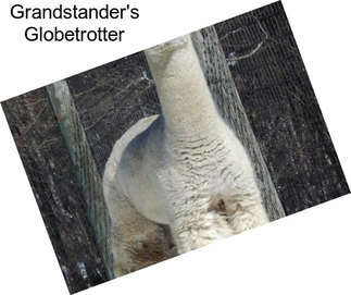 Grandstander\'s Globetrotter