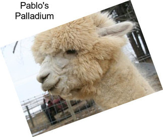 Pablo\'s Palladium